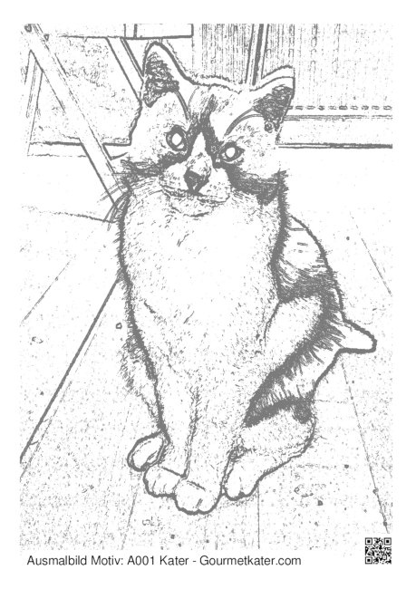 Ausmahlbild Kater Ausmahlbild Katze