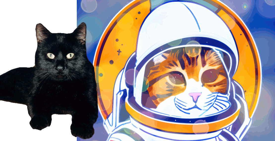 Gourmetkater vor Bild mit Astronautenkatze