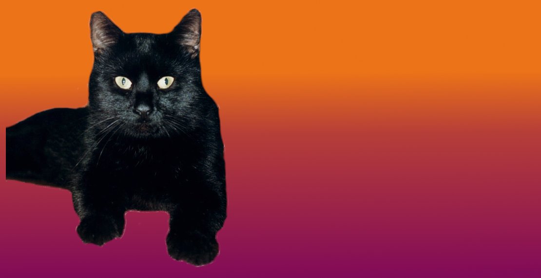Header Gourmetkater
