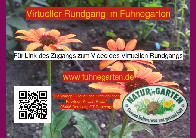 Virtueller Rundgang im Fuhnegarten