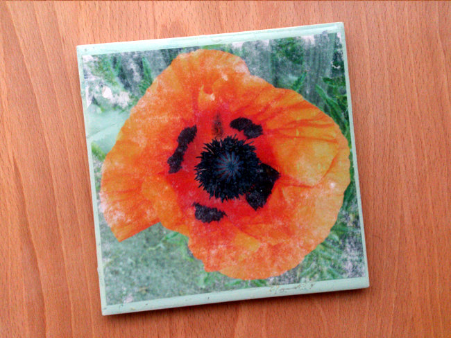 Kachel Mohn by Holger Hintz Kachel mit Mohnblüte