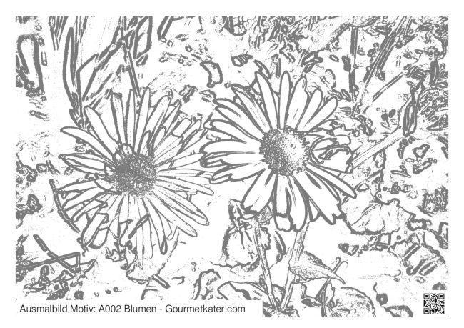 Ausmalbild Blumen Ausmahlbild Blumen