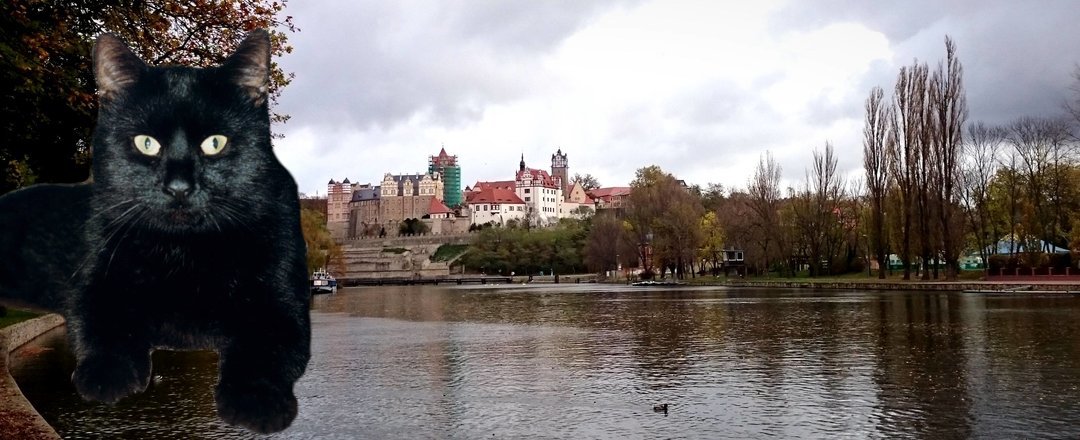 Header Gourmetkater mit Schloß Bernburg über der Saale