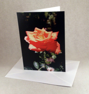 Grußkarte mit Rosenblüte