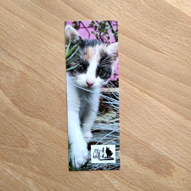 Lesezeichen Katze Amy Lesezeichen Katze Amy