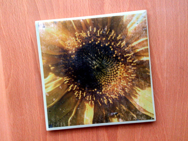 Kachel Sonnenblume by Holger Hintz Kachel mit Sonnenblume