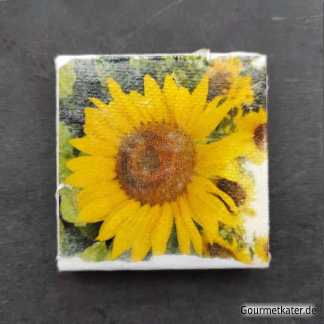 Kühlschrankmagnet Sonnenblume by Holger Hintz Leinwandbild mit Sonnenblume