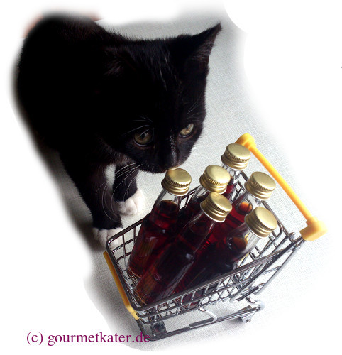 Kleine katze mit kleiinem Einkaufswagen mit Flaschen